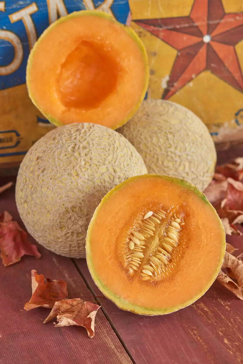 Cucumis melo 'Hearts of Gold' Herbaceous Plants,Vegetable Seeds