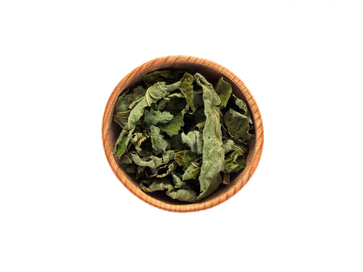 Rubus Tea Rubus chingii var. suavissimus - Web page Navigation - Chinese Sweet Tea