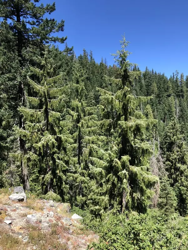 Sheffield's Seed Company