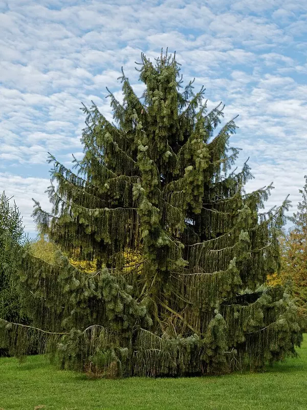 Sheffield's Seed Company