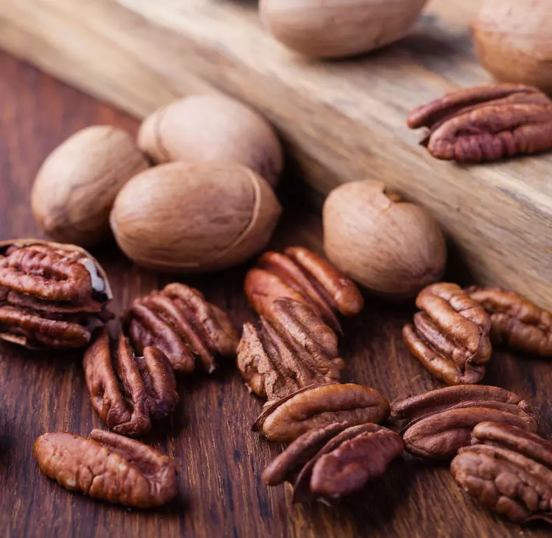 Pecan Nut Tree Seed - /data/6342648/pecan-nutst1.jpeg